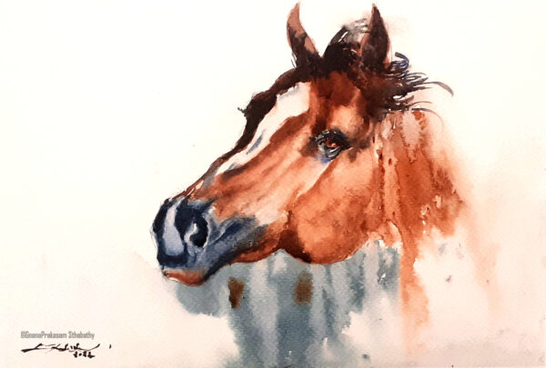 Horse – watercolor