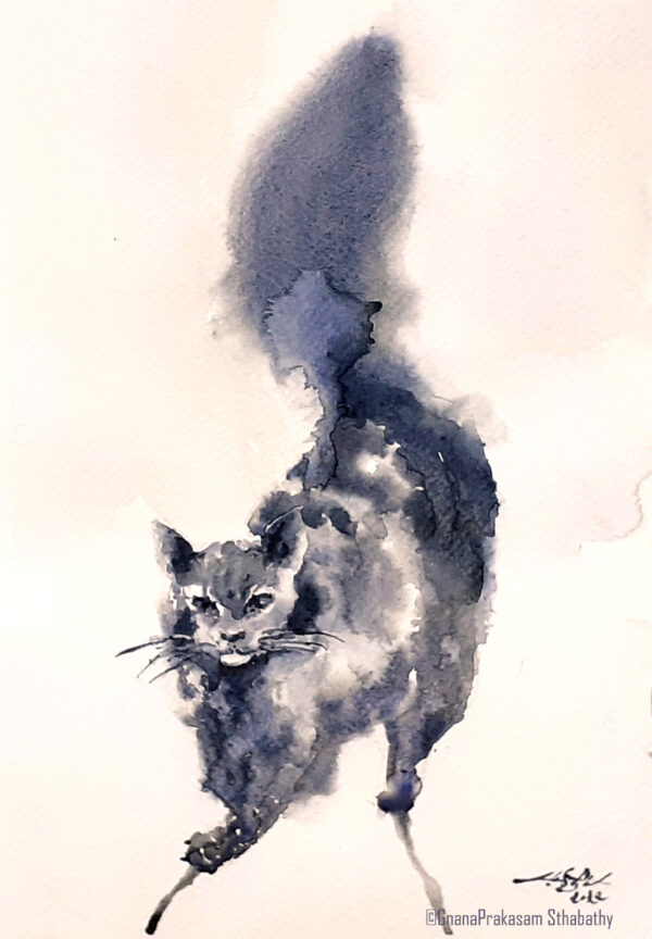 cat – watercolor