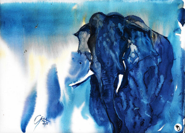 Elephant - Watercolor