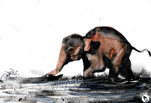 Elephant – Watercolor