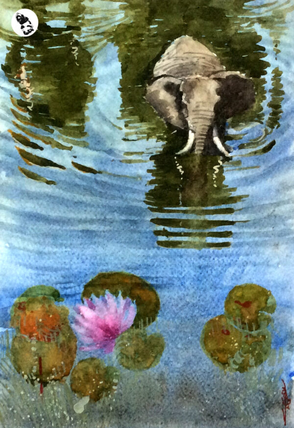 lotus flower watercolor